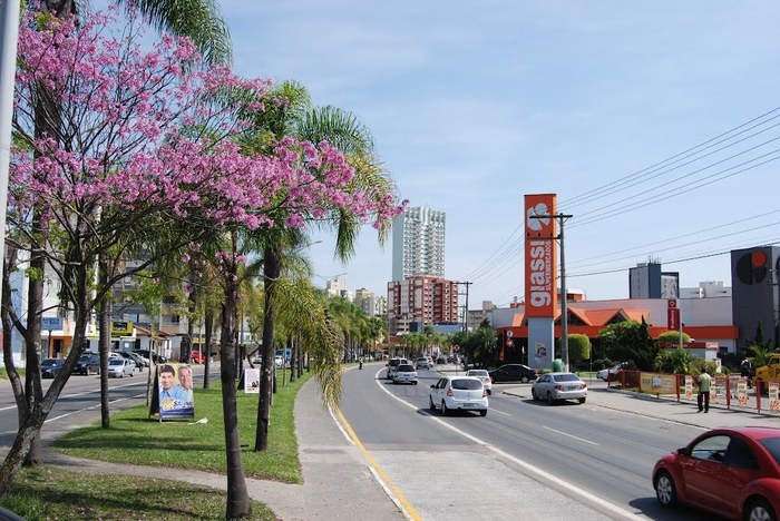 Avenida em Criciúma, representando escritório de contabilidade em Criciúma - Abertura Simples 