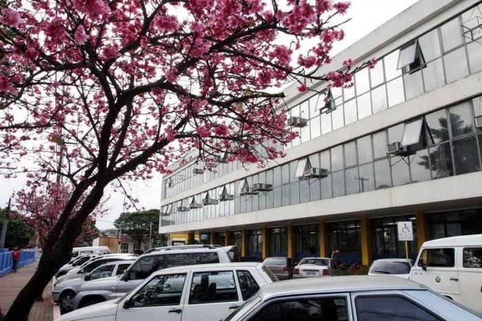 Prefeitura de Apucarana, representando abrir empresa em Apucarana - Abertura Simples