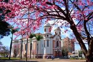 Igreja da cidade de Arapongas, representando abrir empresa em Arapongas - Abertura Simples