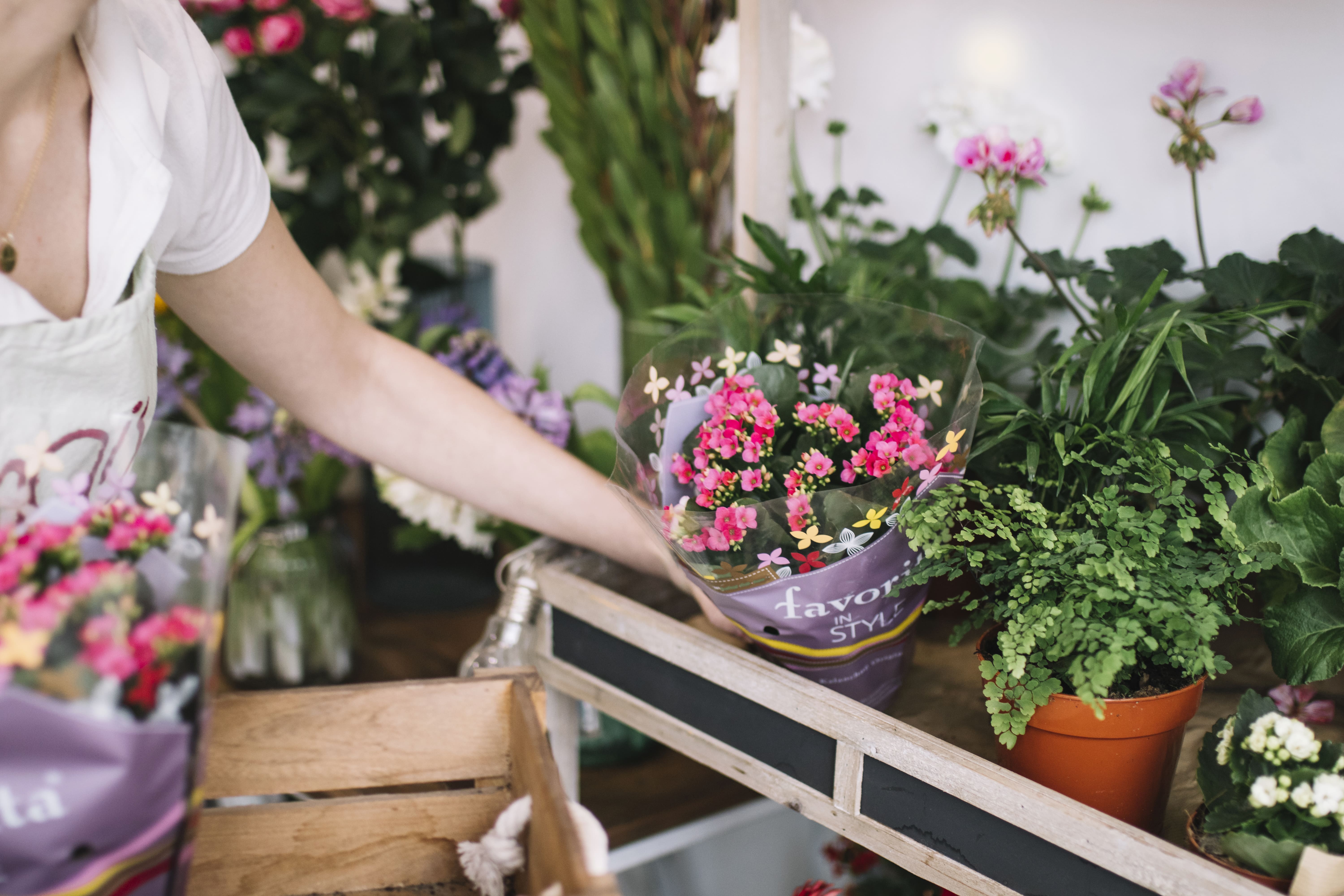 Imagem de uma mulher mexendo em alguns vasos de flores para inspirar quem deseja abrir uma floricultura online