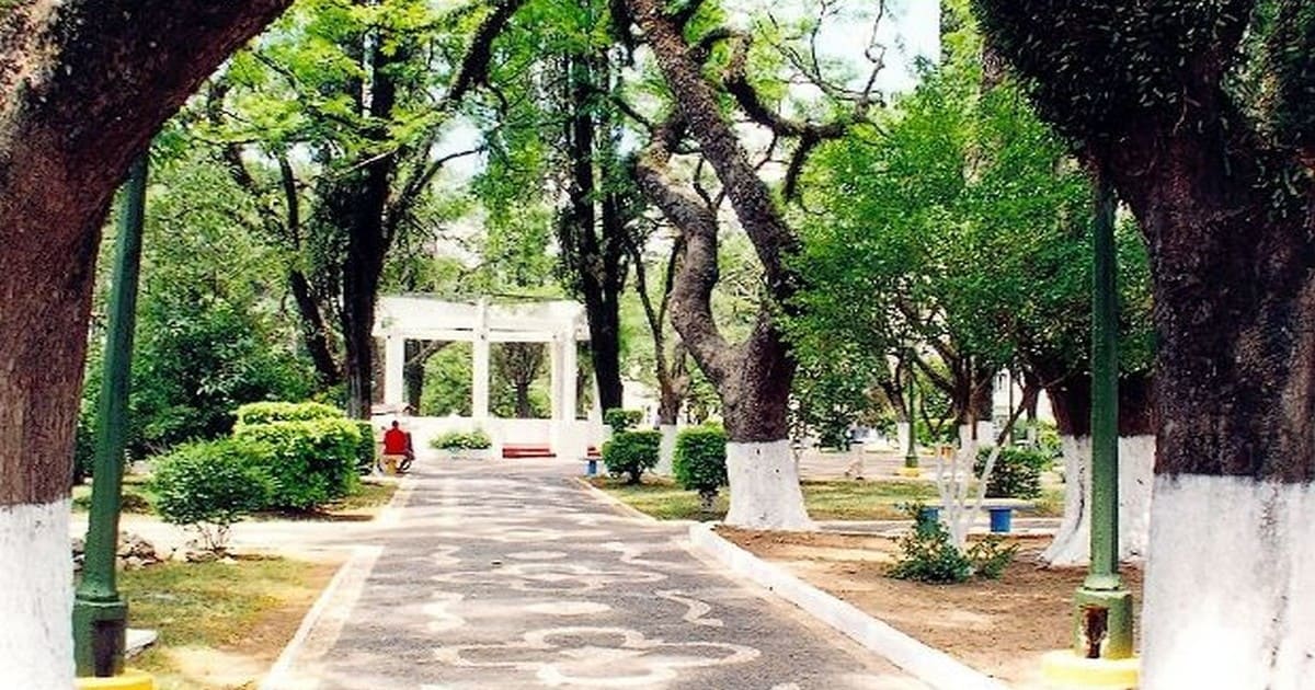 contabilidade em santana do livramento