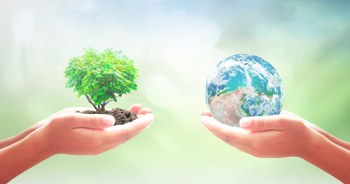 Imagem de duas mãos, uma segurando uma planta e a outra, um mundo, para remeter ao empreendedor que deseja saber como montar um serviço de consultoria ambiental