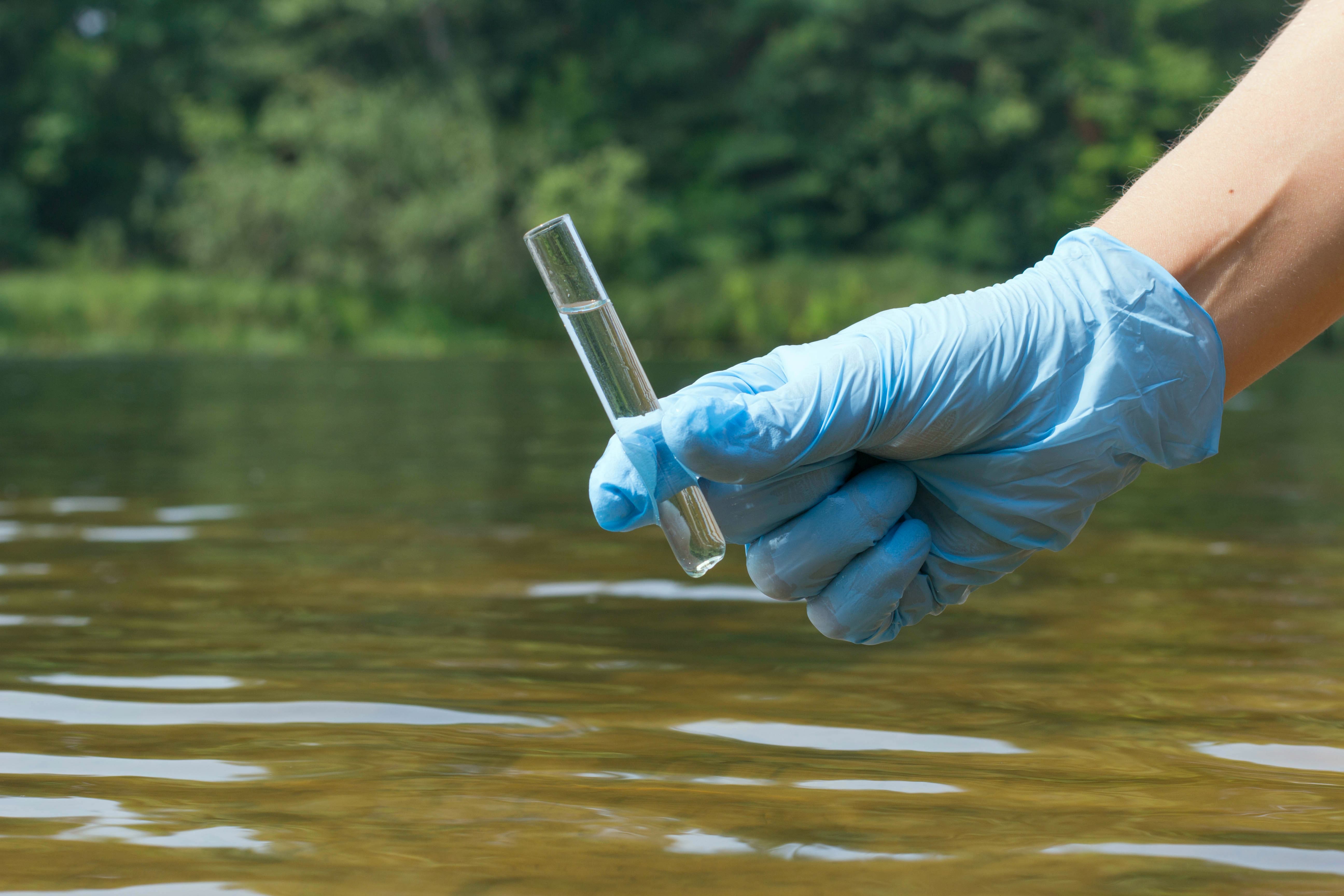 Imagem de um exemplo de consultoria ambiental para remeter aqueles que desejam saber como montar um serviço de consultoria ambiental